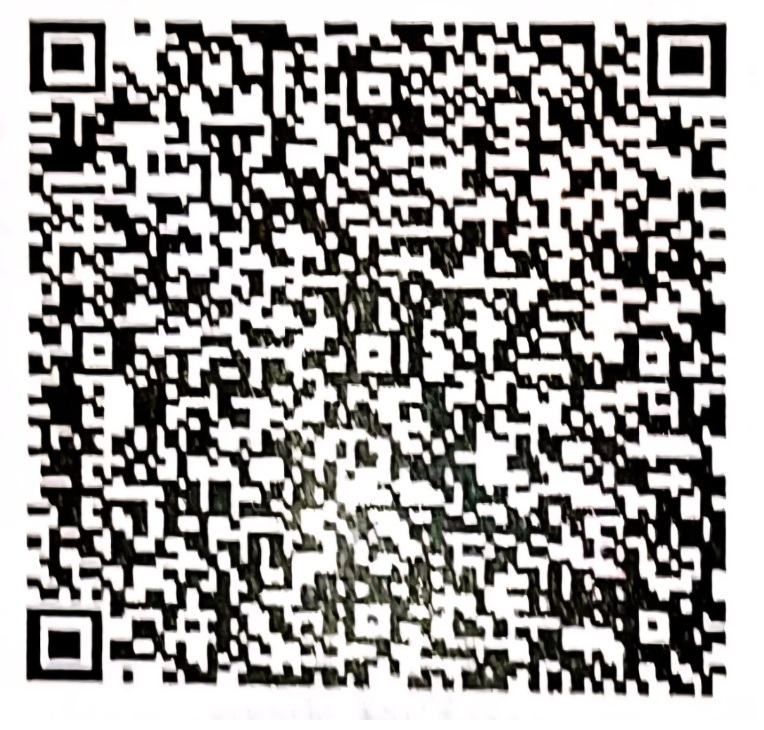 UPI QR Code